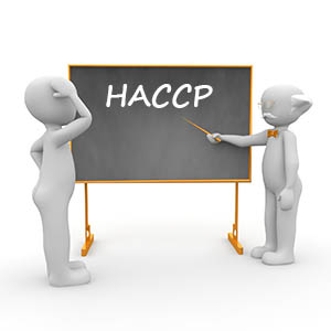Corso in aula HACCP - Responsabile industria Alimentare- Lingua Rumena